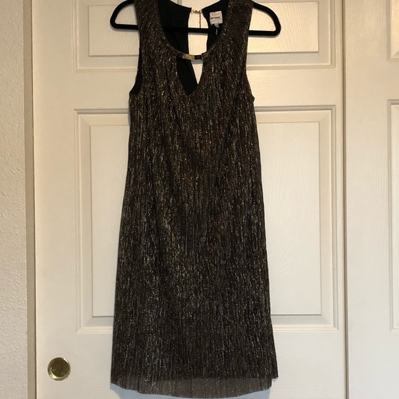 Ashley Graham Dresses & Skirts - Sparkly Dress Ashley Graham Dresses & Skirts - Sparkly Dress